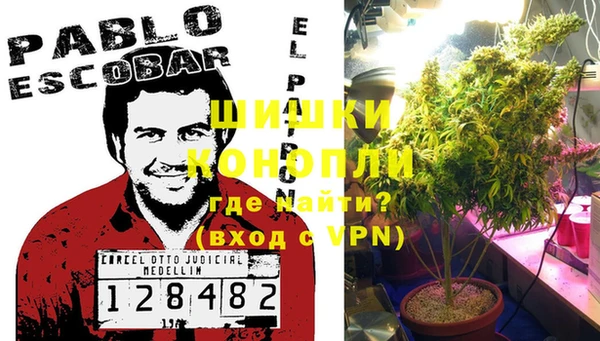 стаф Белокуриха