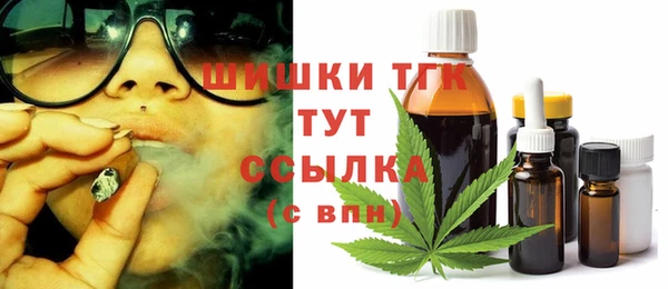 стаф Белокуриха