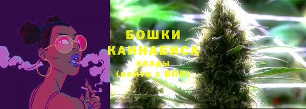 стаф Белокуриха