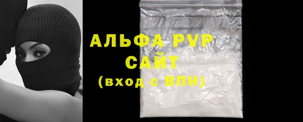 стаф Белокуриха