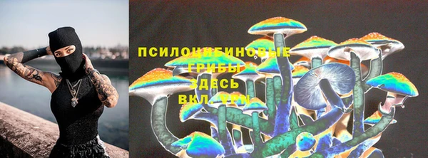 трава Богородицк