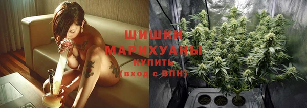 стаф Белокуриха